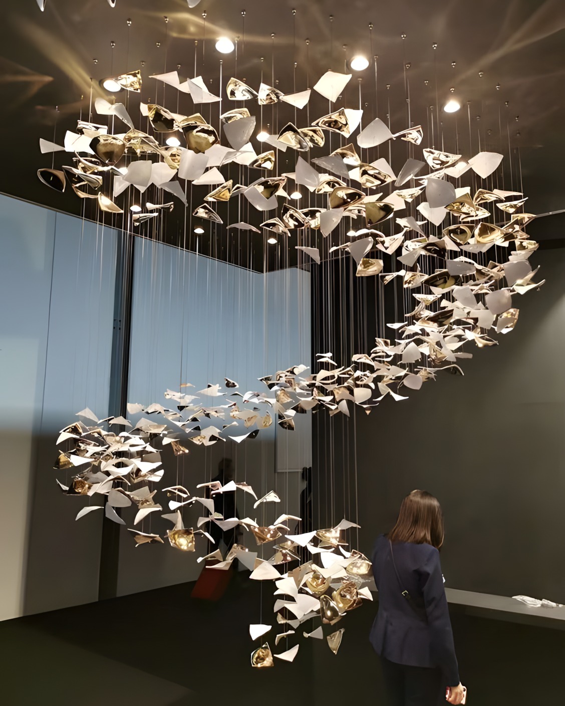 UAE Villa Project-Zayed City